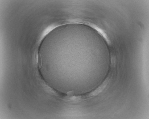 X0000115741365200911251950