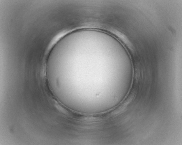 X0000115741366200911251950