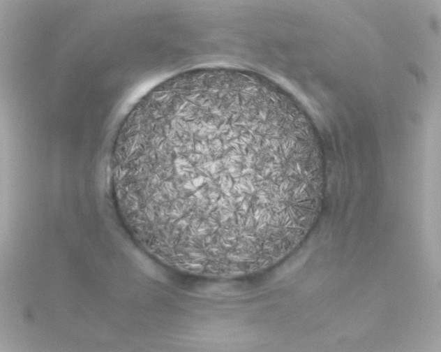 X0000115741367200911251950