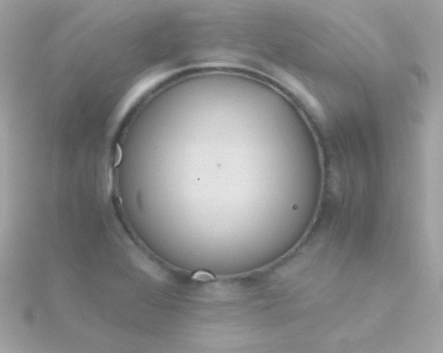 X0000115741368200911251950