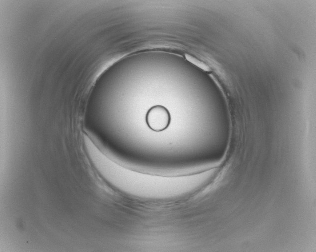 X0000115741369200911251950