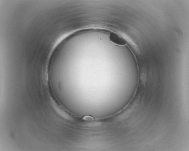 X0000115741372200911251950