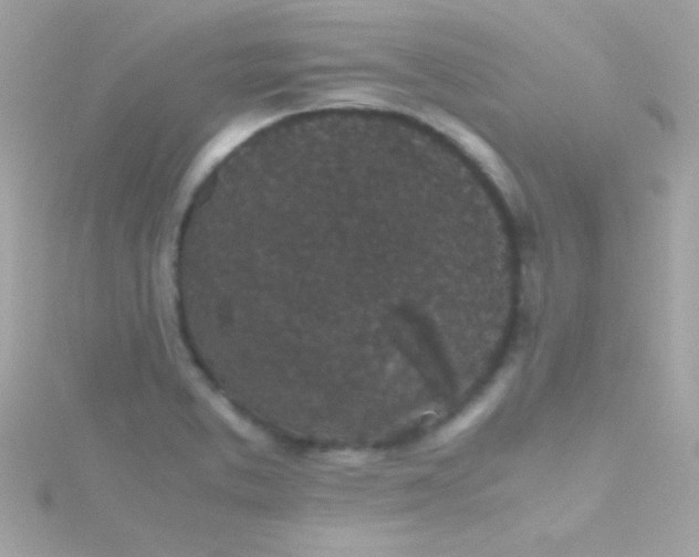 X0000115741373200911251950