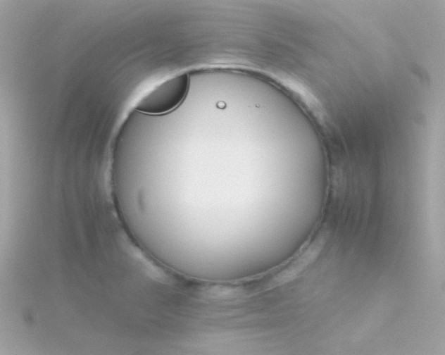 X0000115741374200911251950