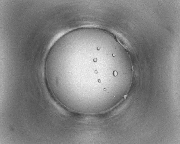 X0000115741375200911251950