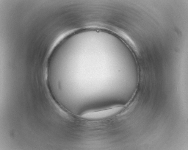 X0000115741376200911251950