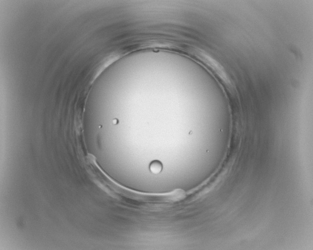 X0000115741377200911251950