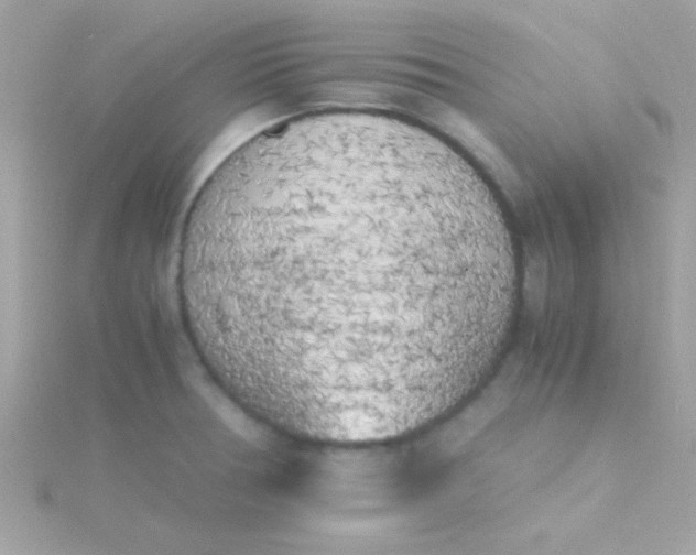 X0000115741378200911251950