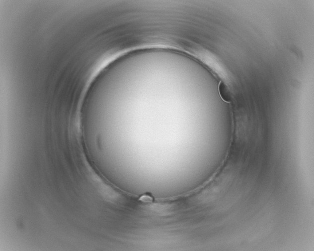 X0000115741380200911251950