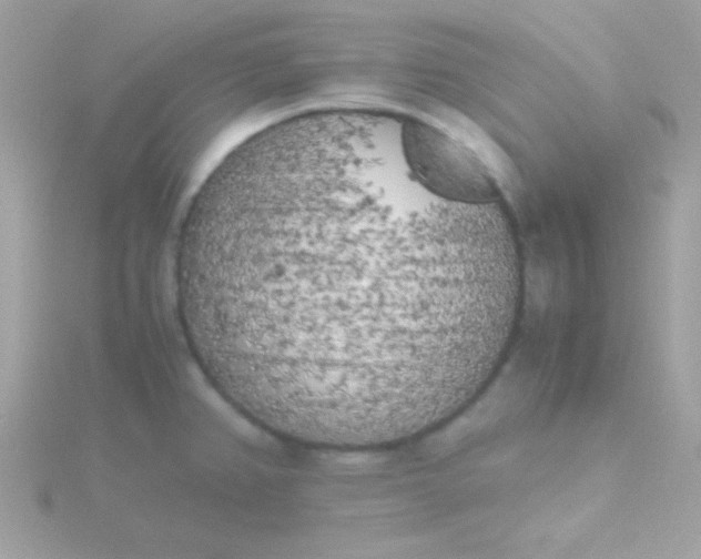 X0000115741382200911251950