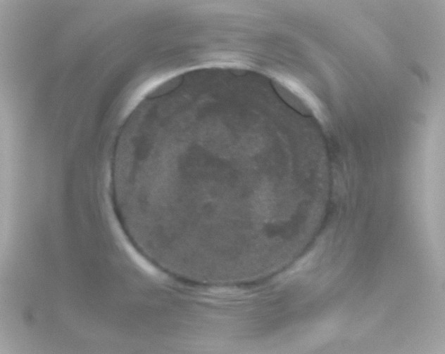 X0000115741383200911251950