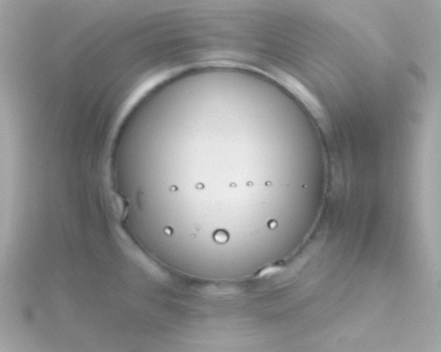 X0000115741384200911251950