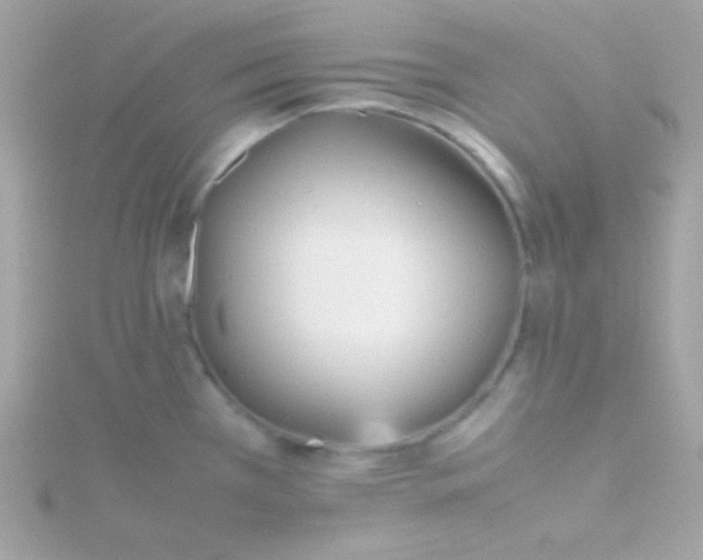 X0000115741385200911251950