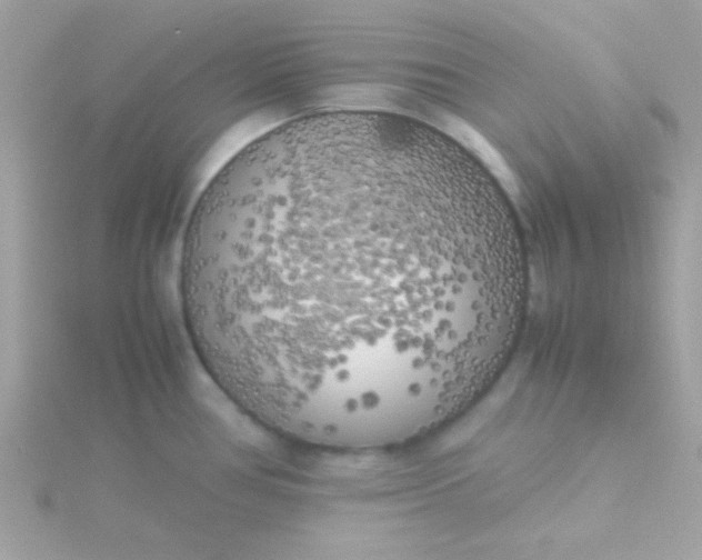 X0000115741386200911251950