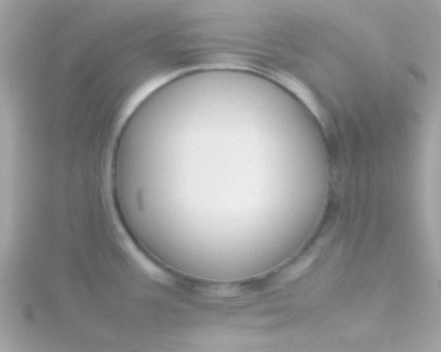 X0000115741387200911251950