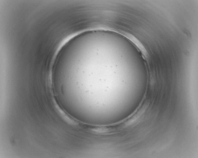 X0000115741388200911251950