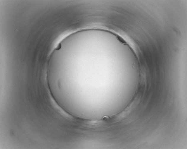 X0000115741390200911251950