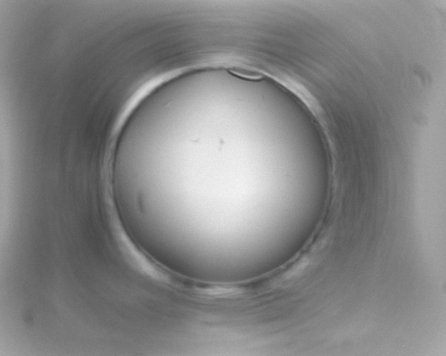 X0000115741392200911251950