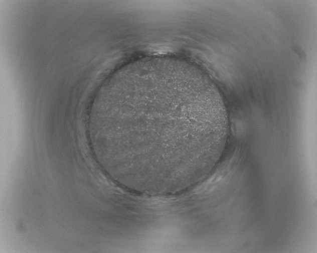 X0000115741393200911251949