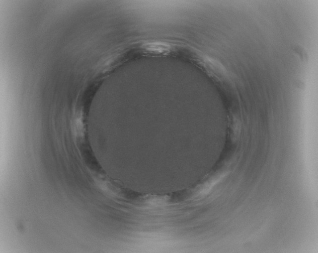 X0000115741394200911251949