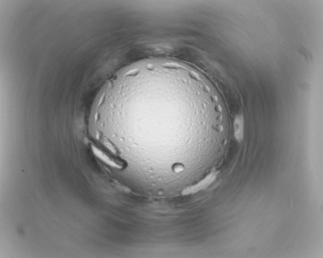 X0000115741395200911251949