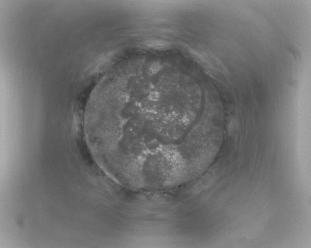 X0000115741397200911251950