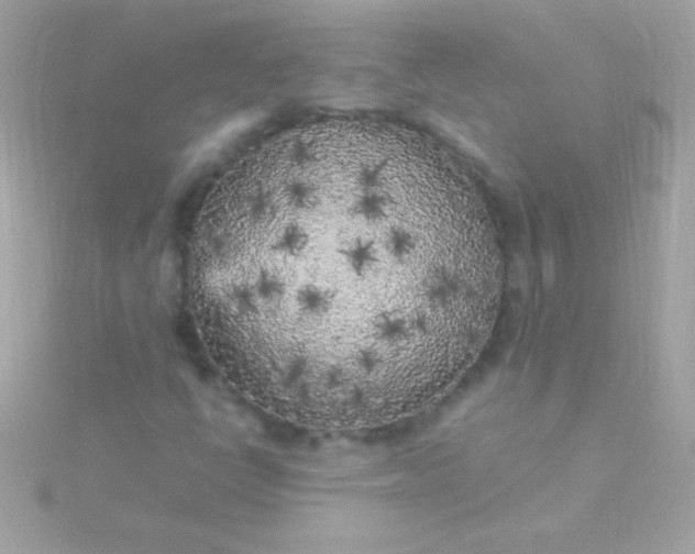 X0000115741398200911251950