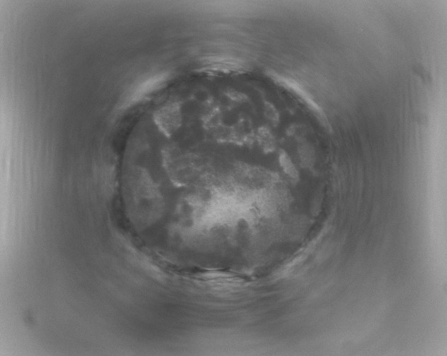 X0000115741399200911251950