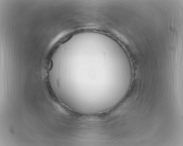 X0000115741400200911251950