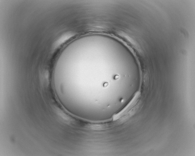 X0000115741402200911251950