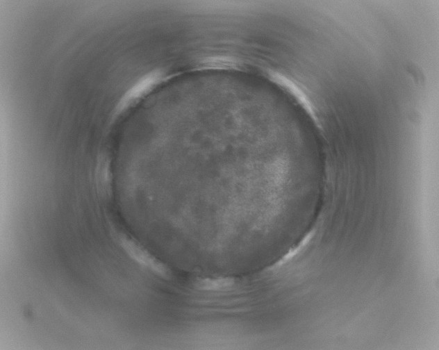 X0000115741403200911251950