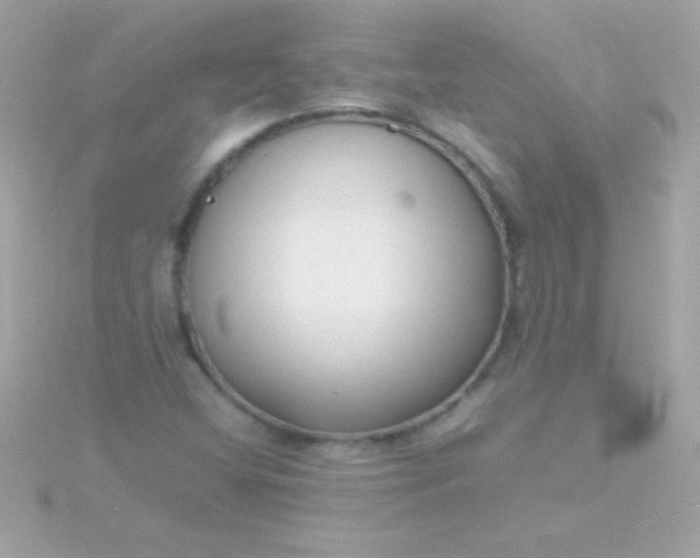 X0000115741404200911251950