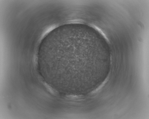 X0000115741405200911251950