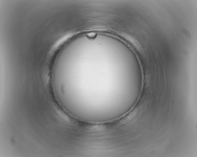 X0000115741406200911251950