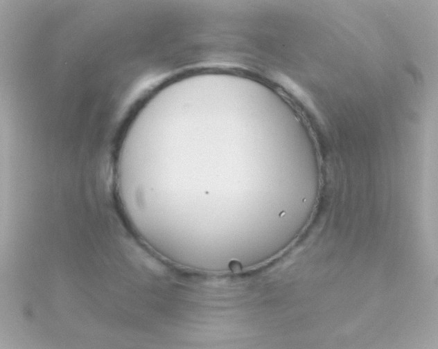 X0000115741408200911251950