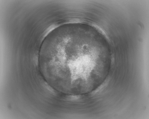 X0000115741409200911251950