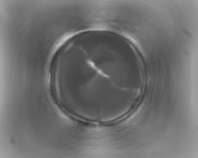 X0000115741414200911251950