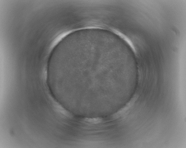 X0000115741415200911251950