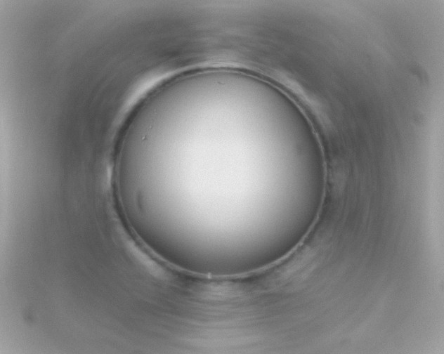 X0000115741416200911251950