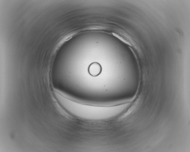 X0000115741417200911251950