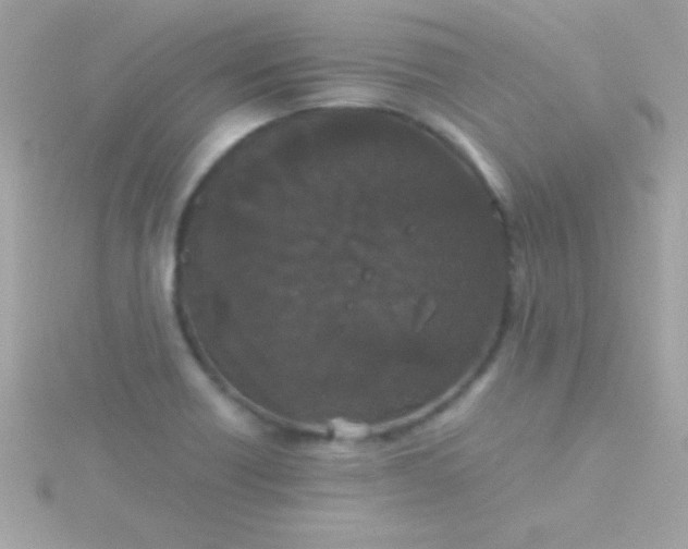 X0000115741418200911251950