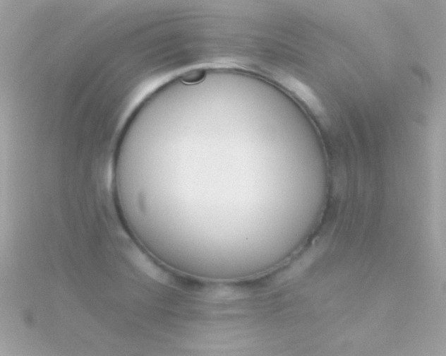 X0000115741420200911251950