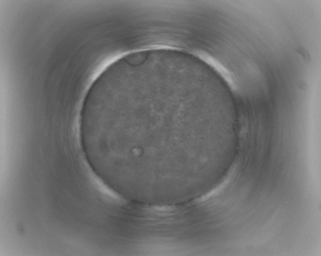 X0000115741423200911251950