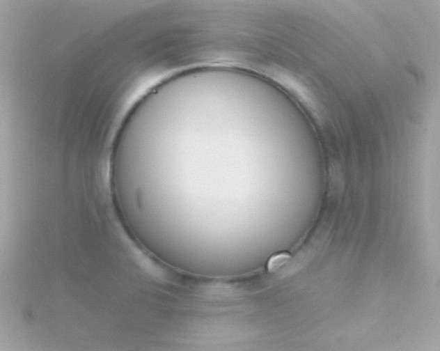 X0000115741424200911251950