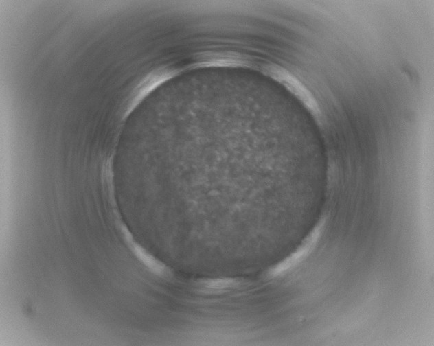 X0000115741425200911251950