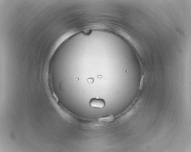 X0000115741426200911251950