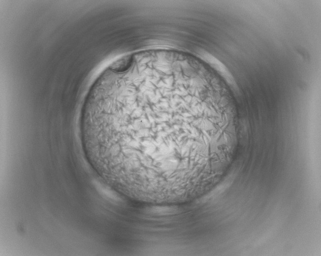 X0000115741427200911251950