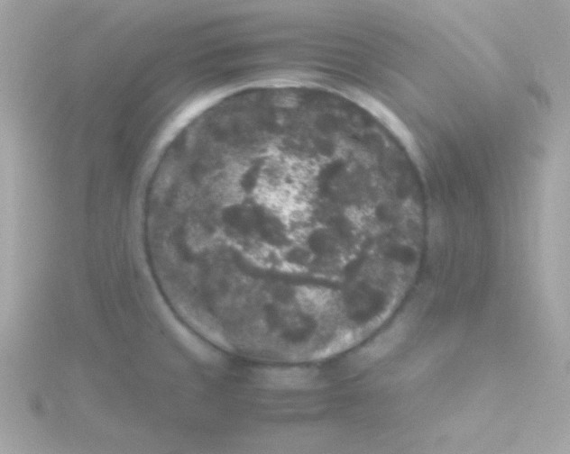 X0000115741429200911251950