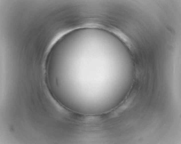 X0000115741430200911251950