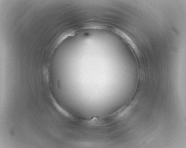 X0000115741433200911251950